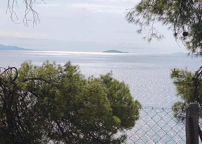 Skiurus * Metamorfosi (Sithonia)