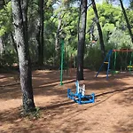 Skiurus Метаморфоси