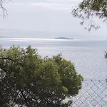 Skiurus * Метаморфоси