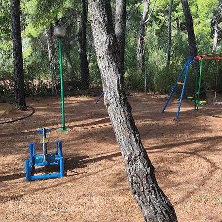 Skiurus Метаморфоси