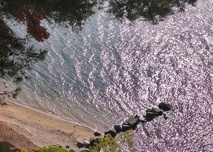 Skiurus * Метаморфоси