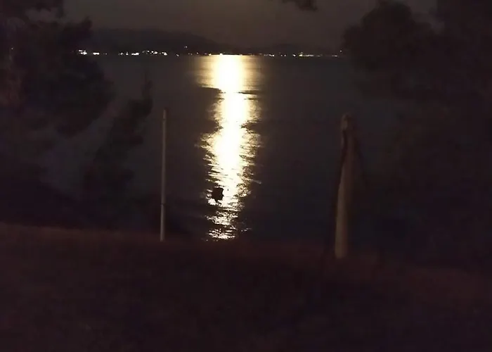 Skiurus * Метаморфоси