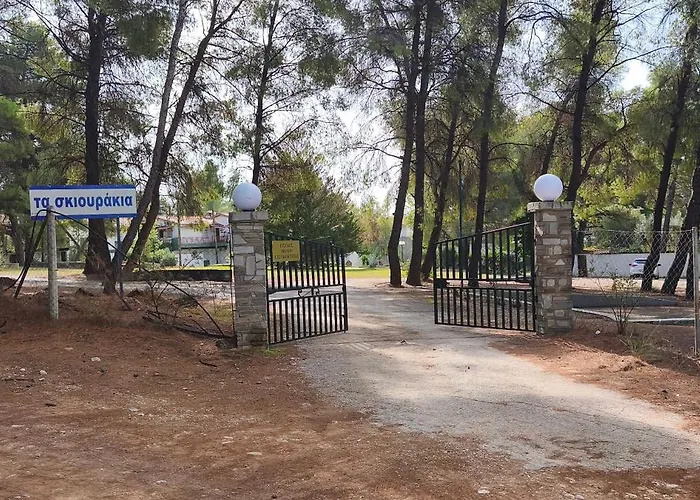 Skiurus * Метаморфоси